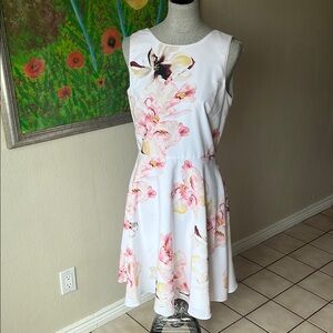 White House Black Market Floral Sleeveless Dress - White and Pink